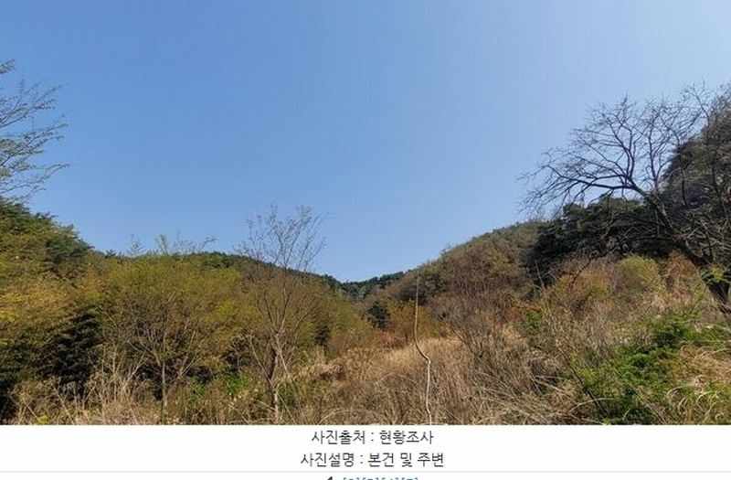 2025타경20462 경상남도 함안군 산인면 입곡리 산253 임야 경매 이미지