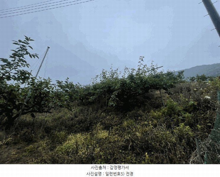 2025타경20649 경상남도 함안군 칠북면 가연리 139-3 과수원 경매 이미지