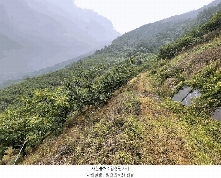 2025타경20649 경상남도 함안군 칠북면 가연리 139-3 과수원 경매 이미지