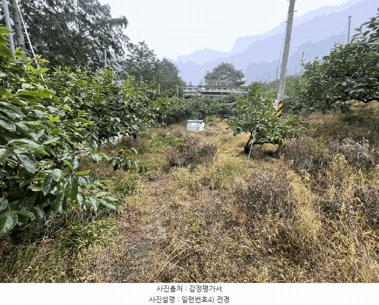 2025타경20649 경상남도 함안군 칠북면 가연리 139-3 과수원 경매 이미지