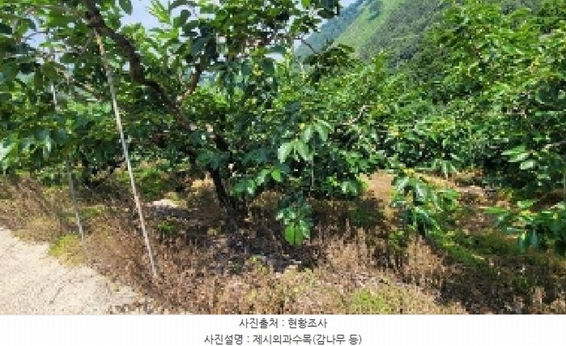 2025타경20649 경상남도 함안군 칠북면 가연리 139-3 과수원 경매 이미지