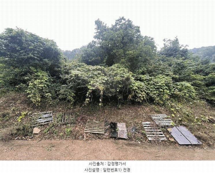 2025타경20649 경상남도 함안군 칠북면 가연리 139-3 과수원 경매 이미지
