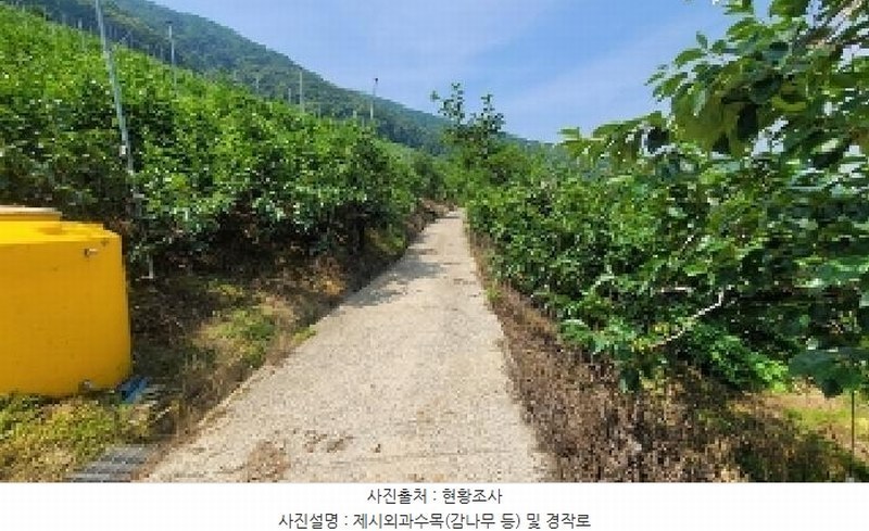 2025타경20649 경상남도 함안군 칠북면 가연리 139-3 과수원 경매 이미지