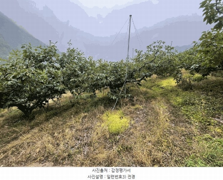 2025타경20649 경상남도 함안군 칠북면 가연리 139-3 과수원 경매 이미지