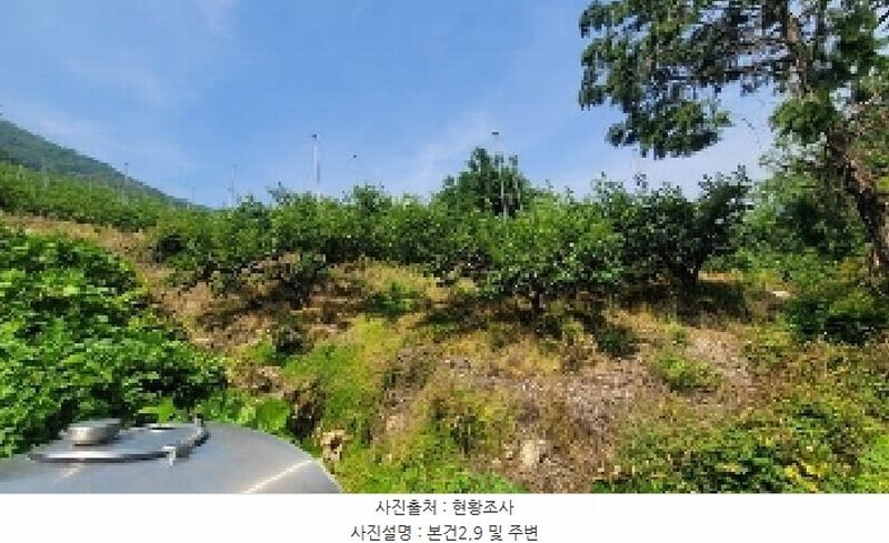2025타경20649 경상남도 함안군 칠북면 가연리 139-3 과수원 경매 이미지