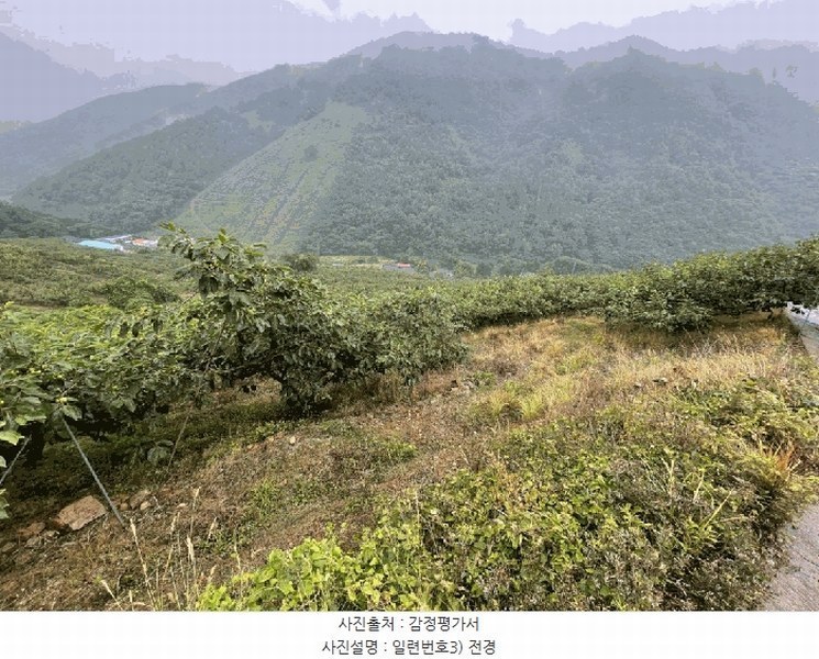 2025타경20649 경상남도 함안군 칠북면 가연리 139-3 과수원 경매 이미지