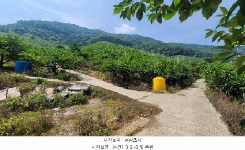 2025타경20649 경상남도 함안군 칠북면 가연리 139-3 과수원 경매 이미지