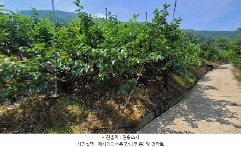2025타경20649 경상남도 함안군 칠북면 가연리 139-3 과수원 경매 이미지