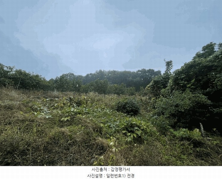 2025타경20649 경상남도 함안군 칠북면 가연리 139-3 과수원 경매 이미지