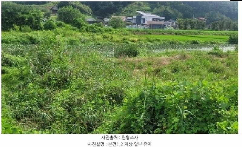 2025타경20759 경상남도 함안군 대산면 장암리 864-1 농지 경매 이미지