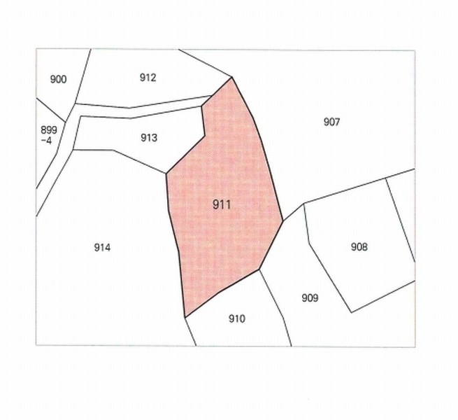 2025타경20793 경상남도 함안군 법수면 황사리 911 대지 경매 이미지