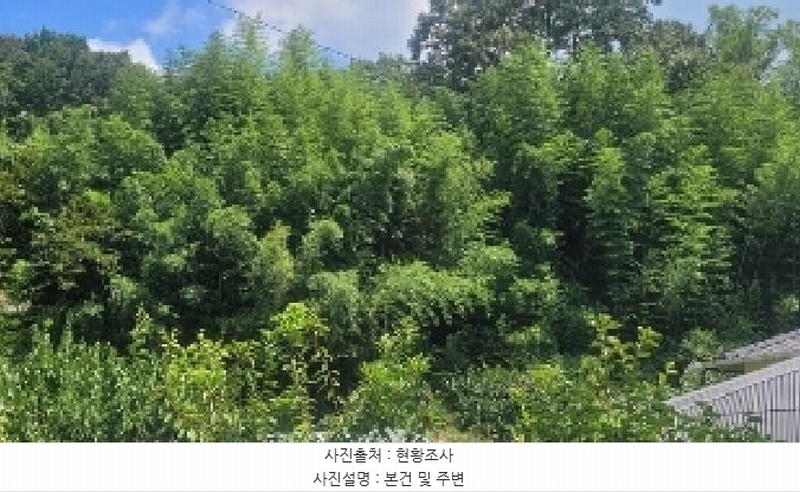 2025타경20793 경상남도 함안군 법수면 황사리 911 대지 경매 이미지