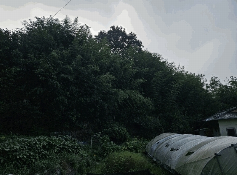 2025타경20793 경상남도 함안군 법수면 황사리 911 대지 경매 이미지