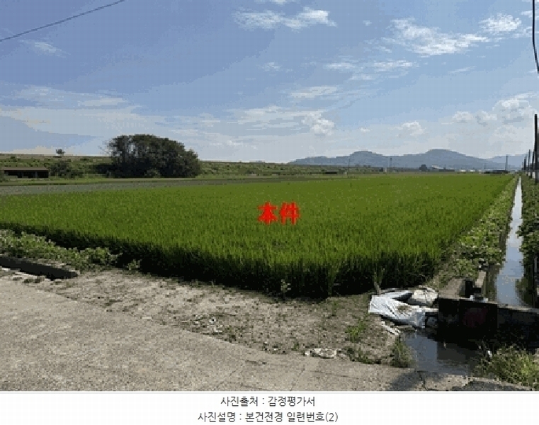 2025타경20797 경상남도 함안군 법수면 주물리 67 농지 경매 이미지