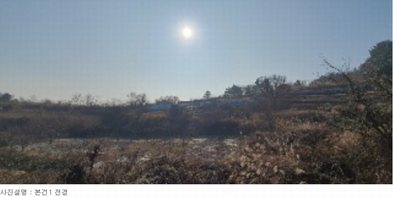 2022타경105555 경상남도 함안군 가야읍 가야리 770 농지 경매 이미지