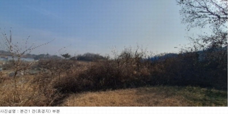 2022타경105555 경상남도 함안군 가야읍 가야리 770 농지 경매 이미지