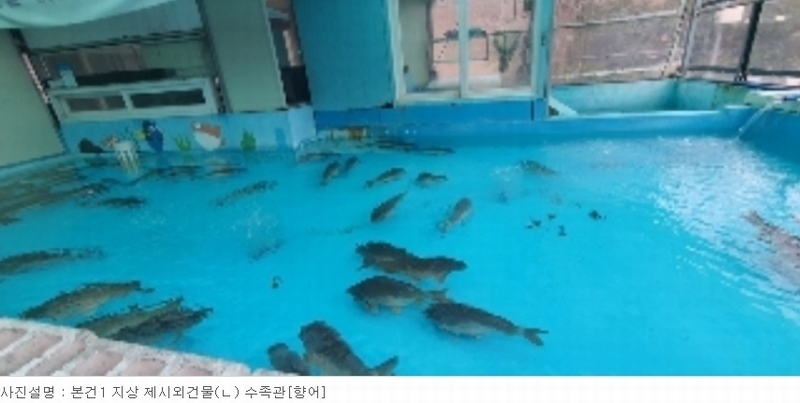 2023타경46 경상남도 창원시 마산회원구 내서읍 신감리 1323-3 근린주택 경매 이미지