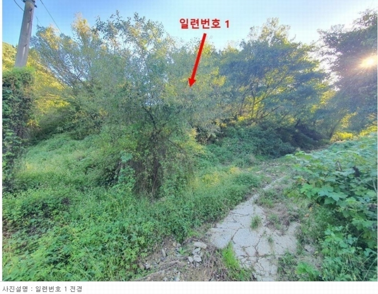 2023타경105187 경상남도 창원시 마산합포구 진전면 금암리 652-2 농지 경매 이미지