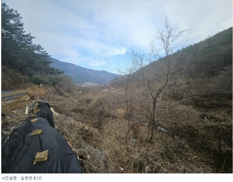 2023타경107107 경상남도 창원시 마산합포구 진북면 정현리 749-1 농지 경매 이미지