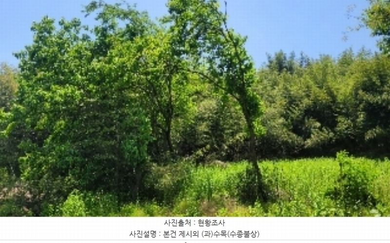 2024타경1084 경상남도 함안군 법수면 대송리 1061 대지 경매 이미지
