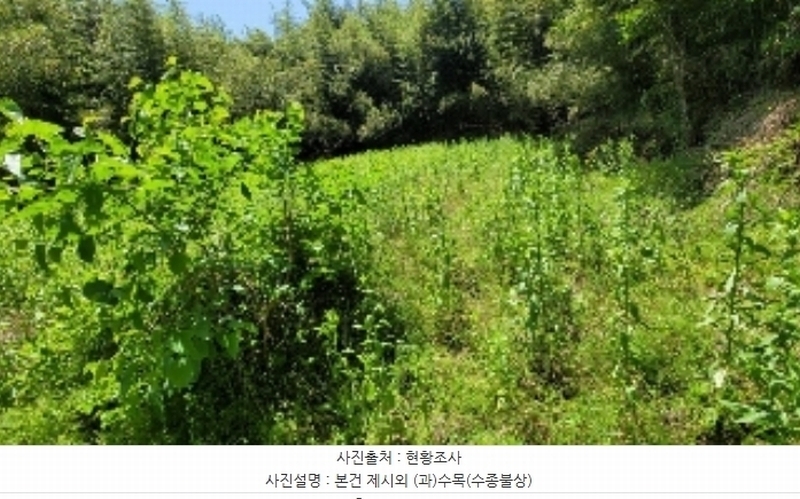 2024타경1084 경상남도 함안군 법수면 대송리 1061 대지 경매 이미지