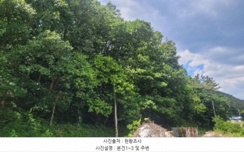 2024타경1121 경상남도 함안군 산인면 신산리 329 임야 경매 이미지