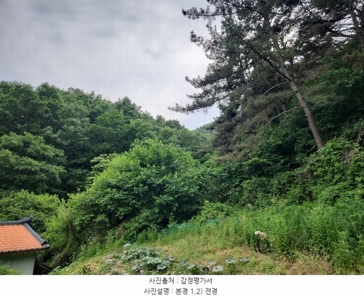 2024타경1121 경상남도 함안군 산인면 신산리 329 임야 경매 이미지