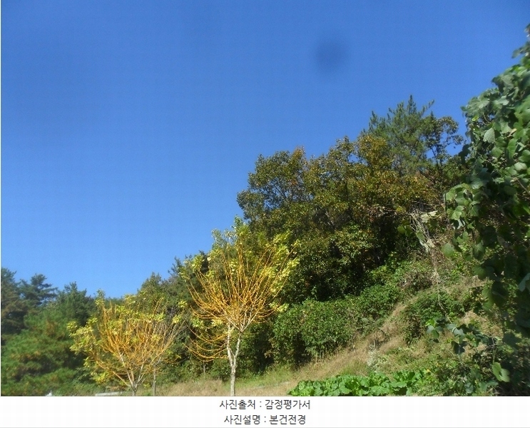 2024타경2315 경상남도 의령군 지정면 오천리 산44 임야 경매 이미지