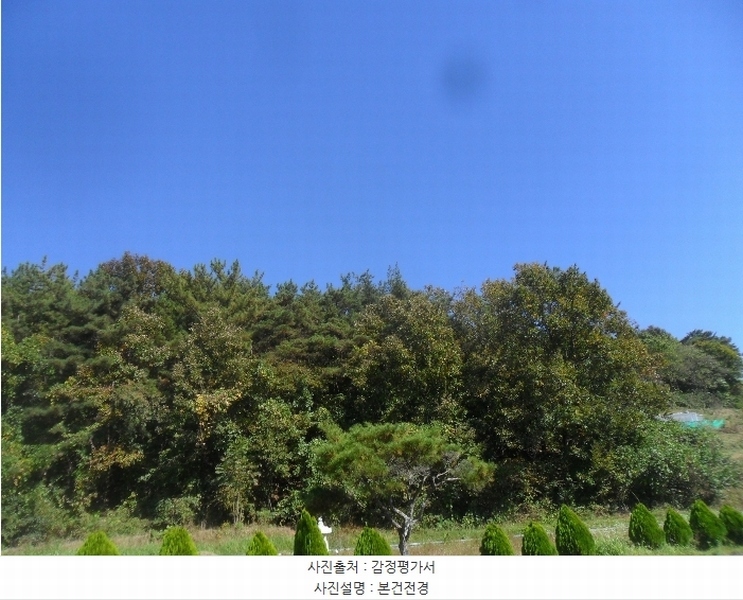 2024타경2315 경상남도 의령군 지정면 오천리 산44 임야 경매 이미지