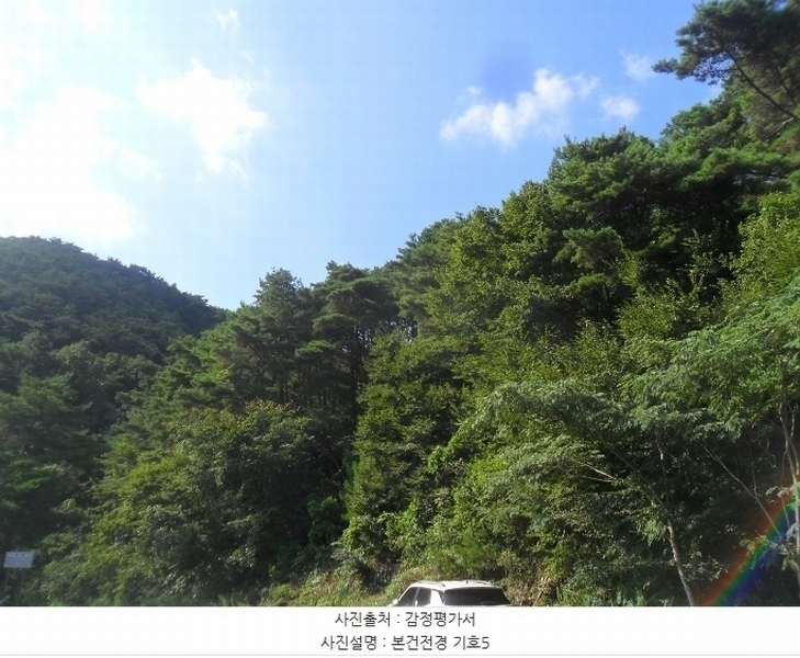 2024타경102024 경상남도 창원시 마산합포구 진전면 여양리 산248-1 임야 경매 이미지