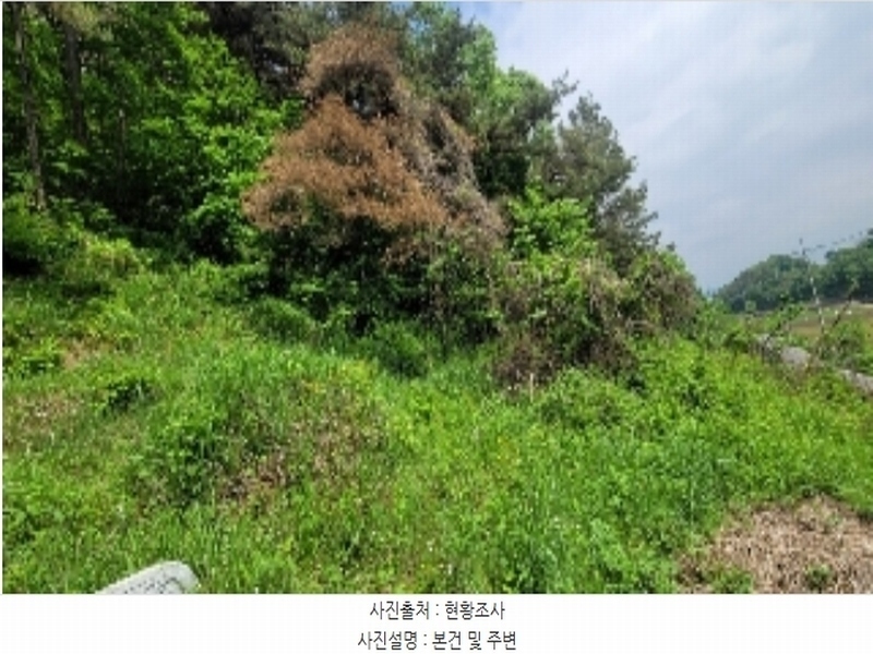 2024타경102123 경상남도 함안군 법수면 주물리 452 농지 경매 이미지