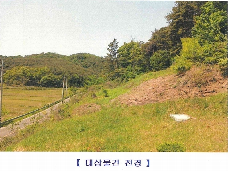 2024타경102123 경상남도 함안군 법수면 주물리 452 농지 경매 이미지