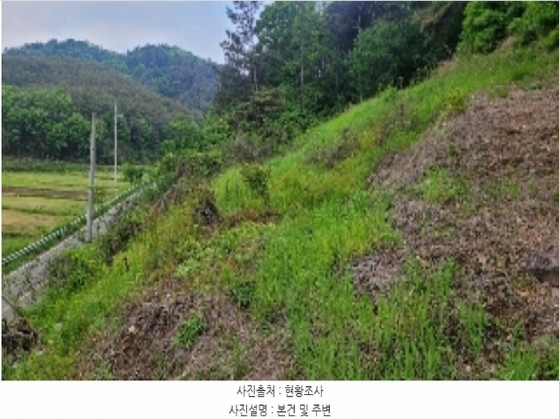 2024타경102123 경상남도 함안군 법수면 주물리 452 농지 경매 이미지