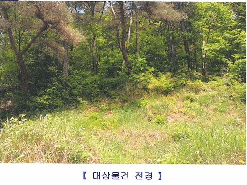 2024타경102123 경상남도 함안군 법수면 주물리 452 농지 경매 이미지
