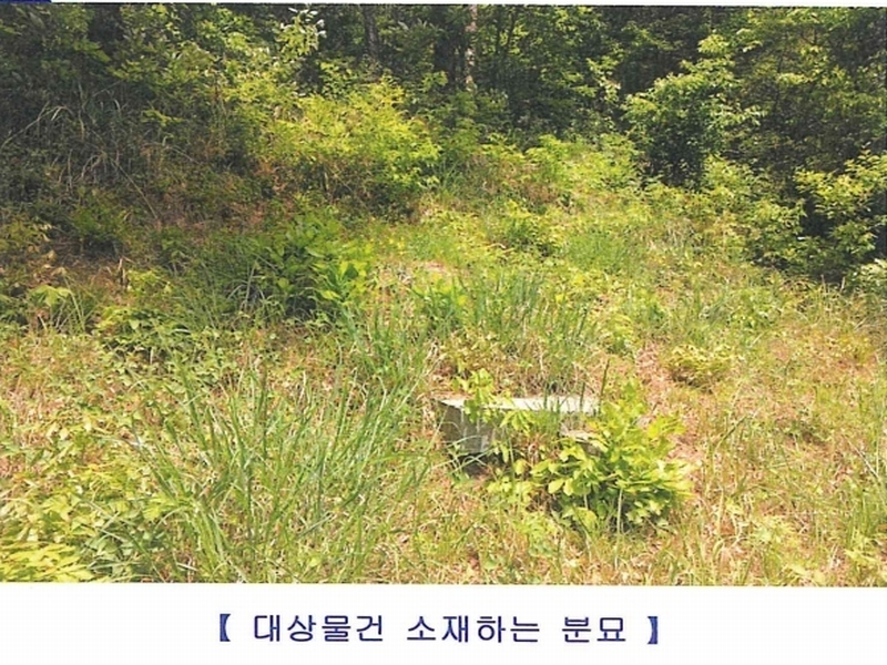 2024타경102123 경상남도 함안군 법수면 주물리 452 농지 경매 이미지