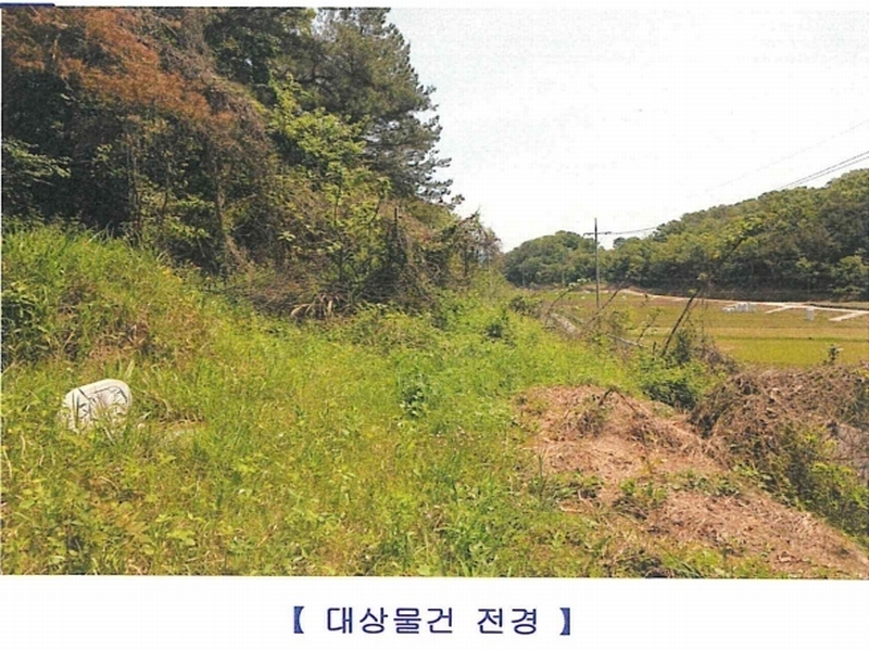 2024타경102123 경상남도 함안군 법수면 주물리 452 농지 경매 이미지