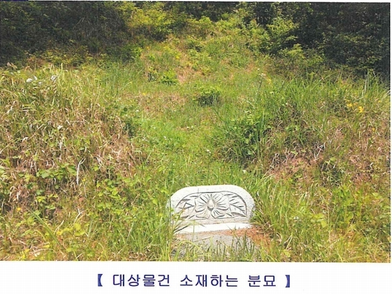 2024타경102123 경상남도 함안군 법수면 주물리 452 농지 경매 이미지