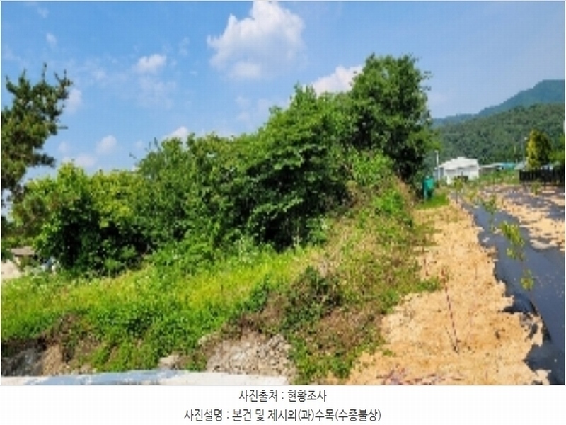 2024타경102673 경상남도 함안군 함안면 봉성리 1024-1 농지 경매 이미지