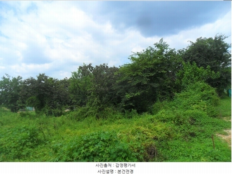 2024타경102673 경상남도 함안군 함안면 봉성리 1024-1 농지 경매 이미지