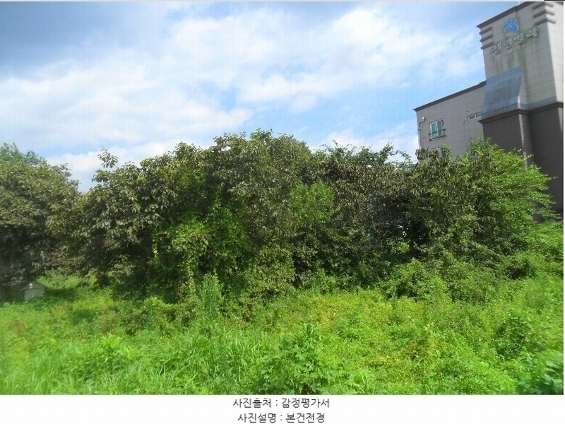 2024타경102673 경상남도 함안군 함안면 봉성리 1024-1 농지 경매 이미지