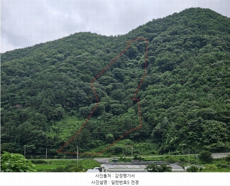 2024타경104105 경상남도 창원시 마산합포구 진북면 영학리 산99 임야 경매 이미지