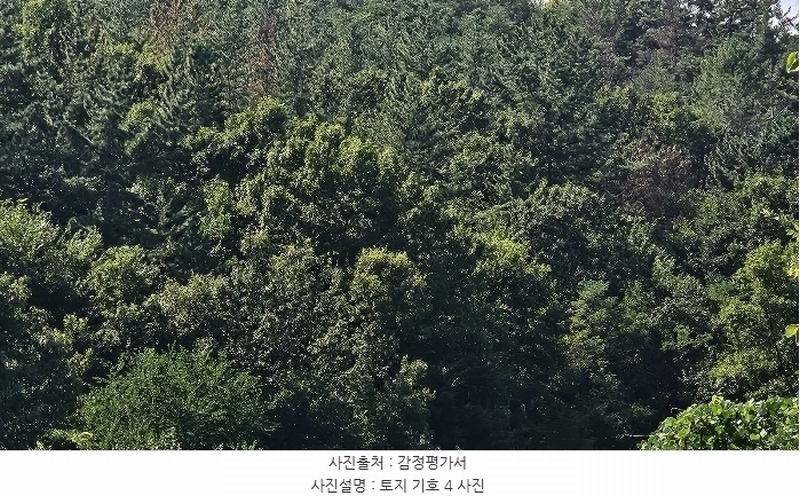 2024타경104556 경상남도 의령군 정곡면 백곡리 604 농지 경매 이미지
