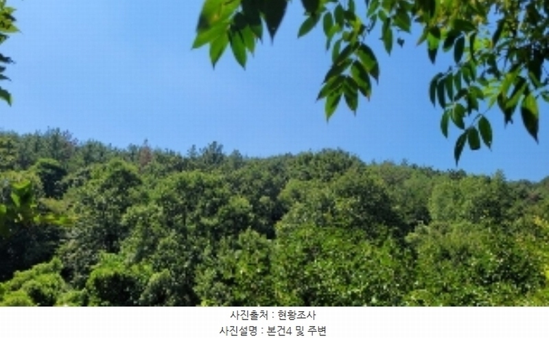 2024타경104556 경상남도 의령군 정곡면 백곡리 604 농지 경매 이미지