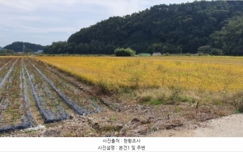 2024타경105597 경상남도 창원시 마산합포구 진전면 오서리 335-7 농지 경매 이미지