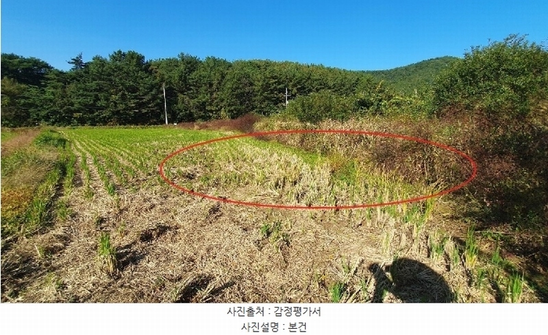 2024타경106552 경상남도 창원시 마산합포구 구산면 마전리 76-1 농지 경매 이미지