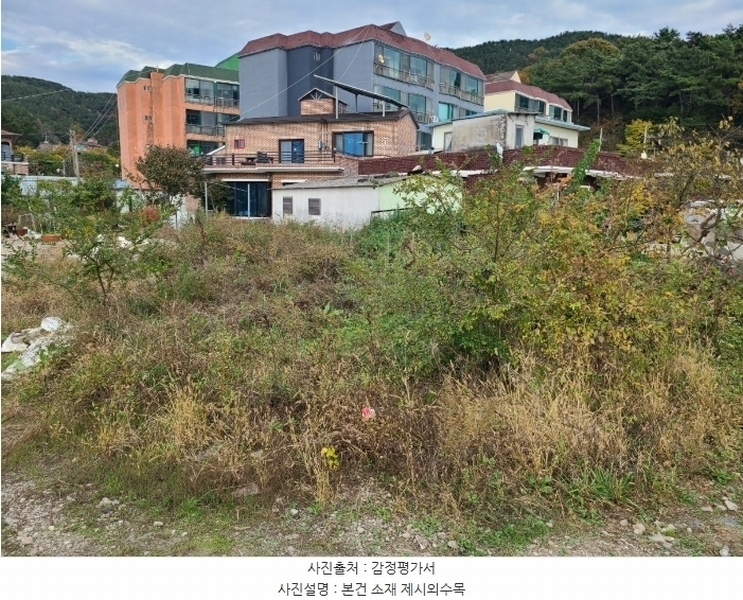 2024타경106750 경상남도 창원시 마산합포구 진동면 요장리 267-1 대지 경매 이미지