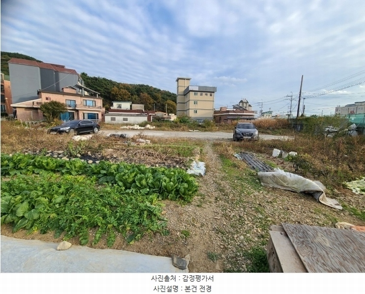 2024타경106750 경상남도 창원시 마산합포구 진동면 요장리 267-1 대지 경매 이미지