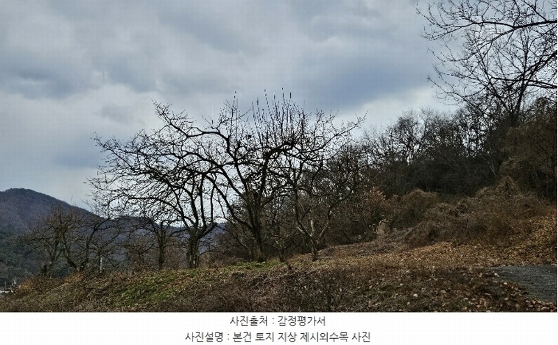 2024타경107401 경상남도 함안군 함안면 북촌리 533-1 농지 경매 이미지