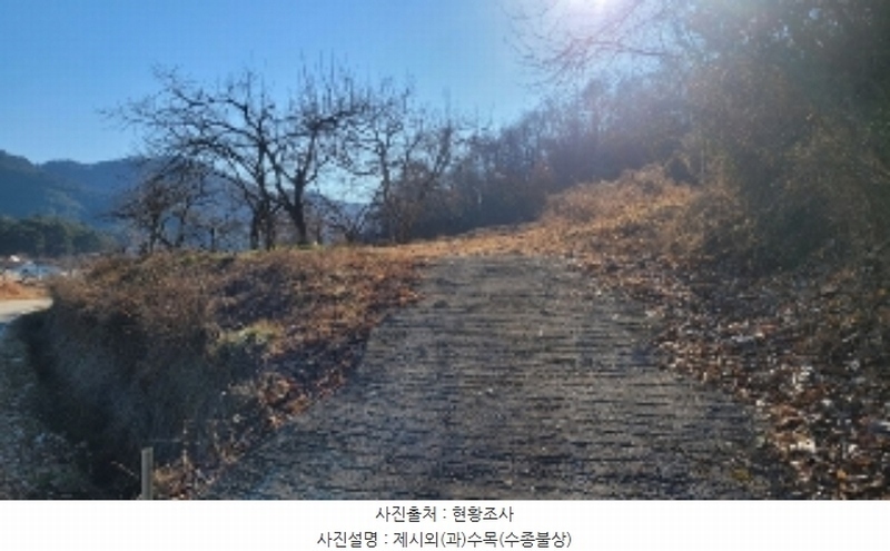 2024타경107401 경상남도 함안군 함안면 북촌리 533-1 농지 경매 이미지