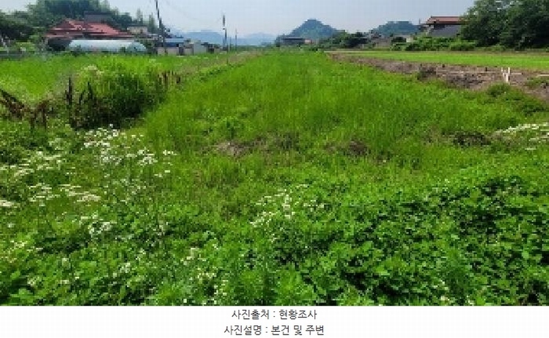 2025타경234 경상남도 함안군 칠서면 용성리 363 농지 경매 이미지